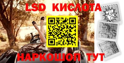 крисы Нальчик
