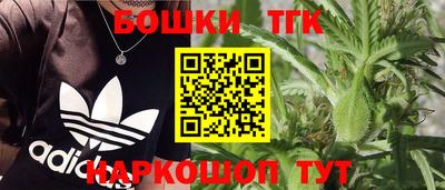 крисы Нальчик