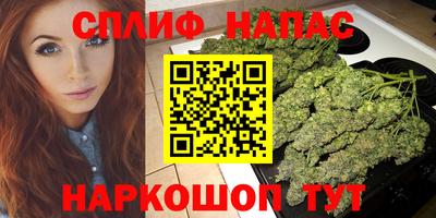 крисы Нальчик