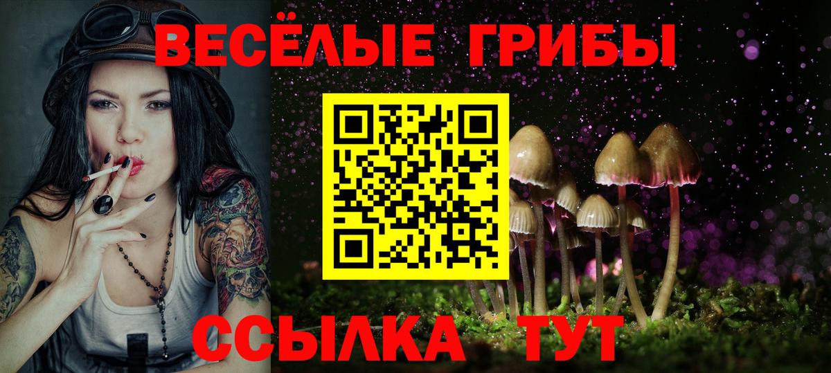 Псилоцибиновые грибы мицелий  Вход с VPN  Соликамск 