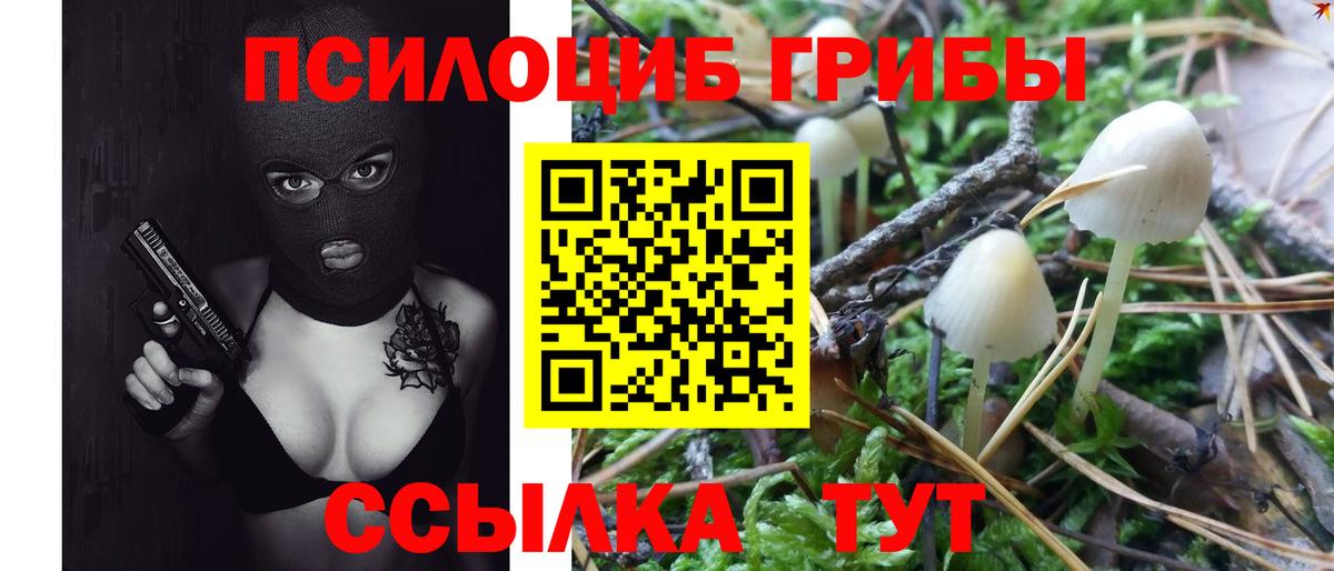 Галлюциногенные грибы GOLDEN TEACHER Соликамск